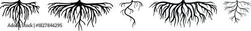 Set of black silhouettes of roots isolated on white background
