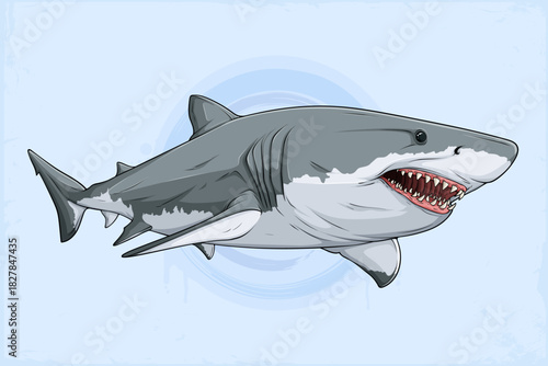Hand drawn great white shark illustration with detailed fins and dynamic lines, expressive marine predator artwork