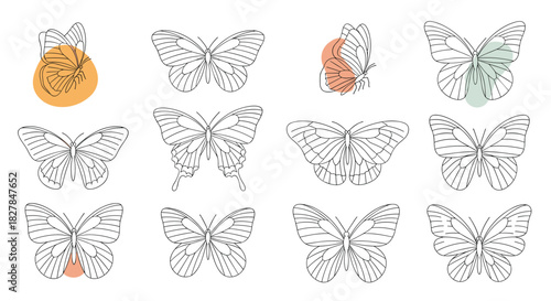 Elegant collection of beautiful butterflies in a minimalist continuous line art style with abstract colorful shapes for modern wall art.