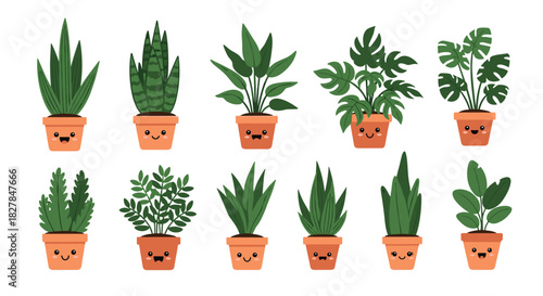 A cute collection of various kawaii house plants in terracotta pots with adorable smiling faces for a charming and fun home decor concept.
