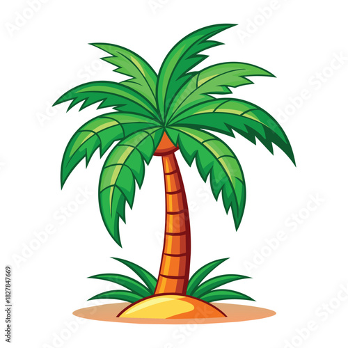 Exotic Palm Tree on White Background