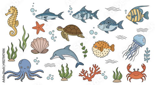 A diverse collection of colorful hand-drawn sea creatures and plants including a dolphin turtle octopus fish and various types of seaweed.