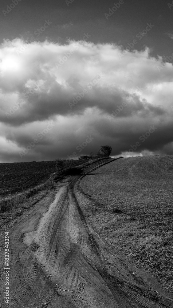 Naklejka premium paysage au ciel très nuageux, photo noir et blanc format 16:9