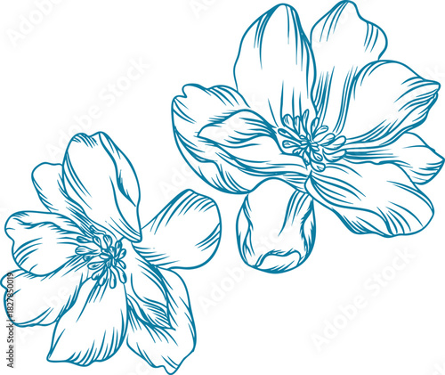 Circular Peony Floral Ornament in Line Art Style