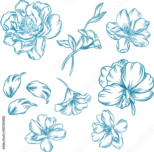 Peony Bundle Floral Elements in Line Art Style