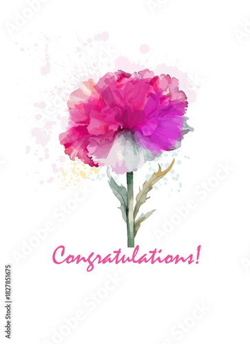 One carnation flower greeting card. hand drawn. Not AI, Vector illustration