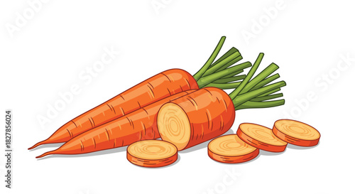 Fresh and wholesome carrots presented as whole vegetables along with perfectly cut round and oval slices.