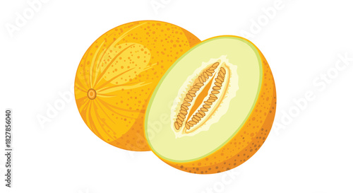 Delicious whole cantaloupe and a perfectly sliced half revealing its inner seeds and refreshing pulp.