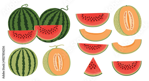 Delicious collection of whole and sliced watermelons and cantaloupes showcasing fresh summer fruits.