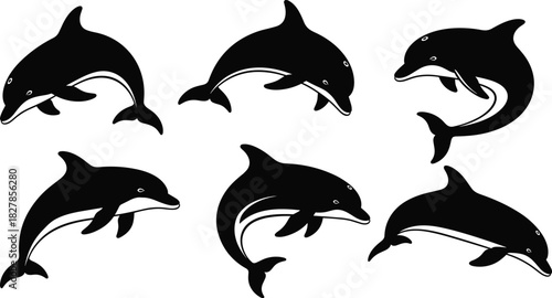 Dolphin silhouettes, swimming poses, leaping dolphins, black vector, marine life illustration, ocean animal icons, graceful motion