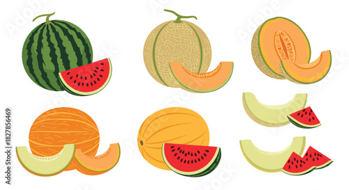Diverse collection of fresh watermelons and cantaloupes presented whole and in various sliced forms showing their juicy flesh.