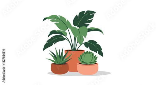 Beautiful indoor plants collection showcasing a large green leafy houseplant a vibrant aloe vera and a charming succulent in pots.