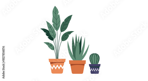 Collection of various indoor potted plants including a tall leafy plant an aloe vera and a cactus in decorative pots.