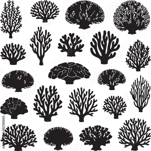Collection of Silhouetted Coral Reef Marine Life Forms on White Background Keywords: coral, reef, marine, sea, ocean, underwater, nature, silhouette, black, white, on transparent background