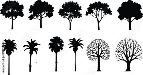 Collection of black tree silhouettes featuring deciduous, palm, and leafless winter trees isolated on white background for landscape design.