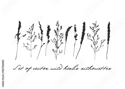 Set of plants vector silhouette. Summer illustration elements. ESP 10.