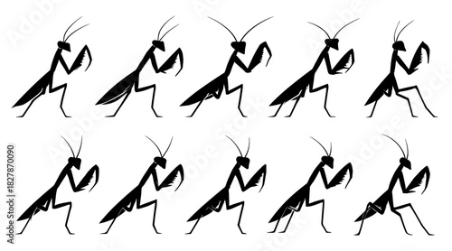 Mantis silhouettes present sharp angled legs and raised front arms in alert poses. Each figure shows natural insect posture and distinct outline. The silhouettes have very high quality