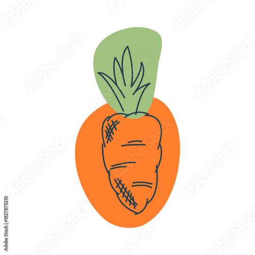 Realistic hand drawn carrot illustration in a unique and modern block coloring style.