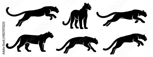 Puma silhouettes show slow controlled walking poses with long streamlined bodies. Each figure reflects quiet strength and natural movement. The silhouettes have very high quality