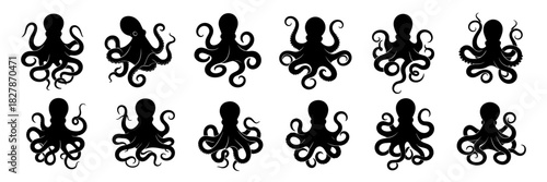 Octopus collection shows twisting tentacles and fluid shapes. Each pose captures motion and flexibility. The silhouettes have very high quality