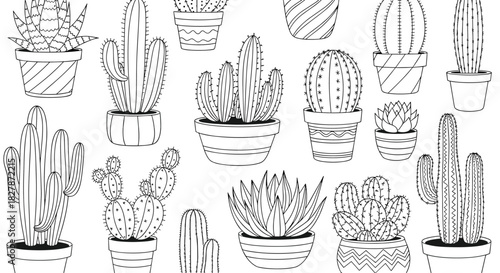 Large collection of hand-drawn cacti and succulents in decorated pots in a black and white line art style for coloring.