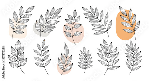 Elegant collection of hand-drawn botanical branches with leaves overlaid on abstract pastel-colored shapes for a modern minimalist design.