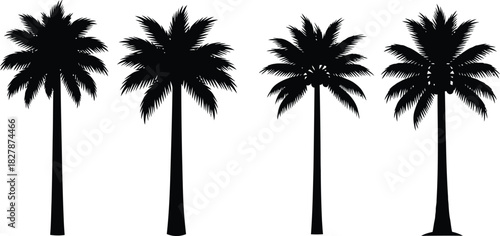 Four Black Silhouette Palm Trees With Varied Frond Shapes And Trunk Heights Keywords: palm tree, tropical, nature, silhouette, black, white