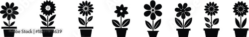 Seven black silhouette potted flowers of various types on a white background Keywords: flowers, potted, silhouette, black and white, plants