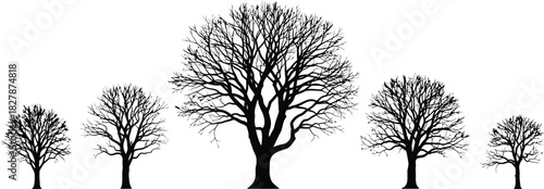 Silhouette of five bare trees of varying sizes against a white background Keywords: tree, silhouette, bare, winter, deciduous, branches