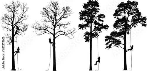Silhouettes of people climbing trees with ropes on white background Keywords: climbing, tree, climber, adventure, sport, recreation