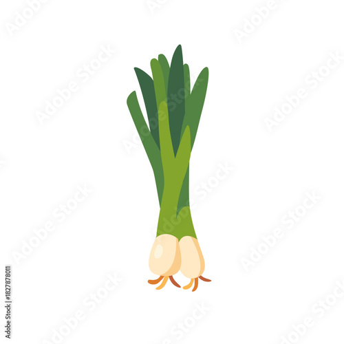 Fresh green leek vegetable bunch with bulbs, isolated flat style vector illustration