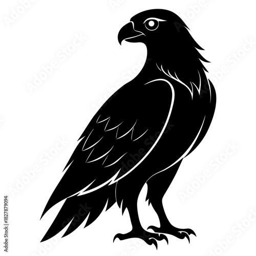 Buzzard vector clean black silhouette design white background