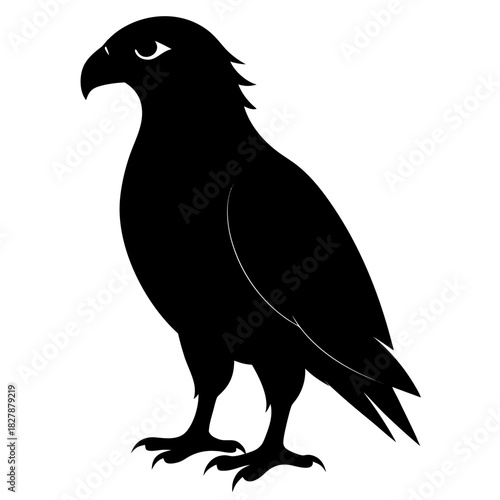 Buzzard vector clean black silhouette design white background