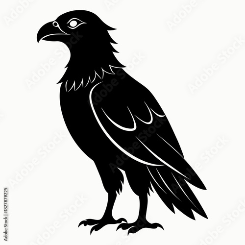 Buzzard vector clean black silhouette design white background