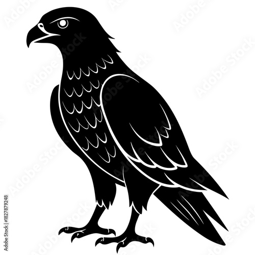 Buzzard vector clean black silhouette design white background