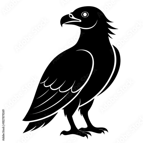 Buzzard vector clean black silhouette design white background