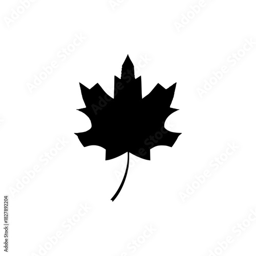 maple leaf isolated