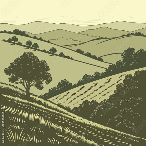 Idyllic rural landscape with rolling hills and fields in a vector illustration