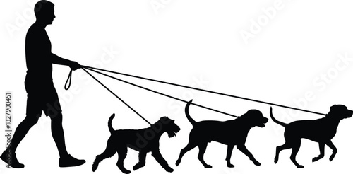 Silhouette of person walking three dogs, pet care, outdoor activity, dog walking, leash control, vector illustration