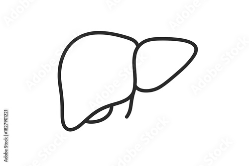 Simplistic black line drawing of human liver