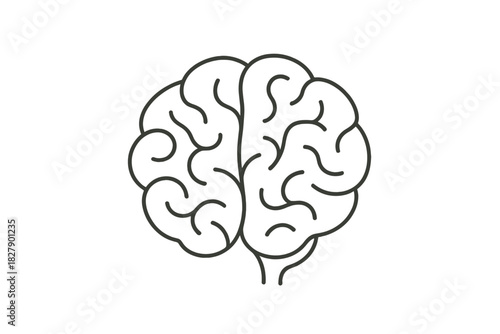 Minimalistic line drawing of a human brain with abstract details