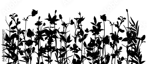 Silhouettes of spring-, summer- glade. Black basis for design on white background universal