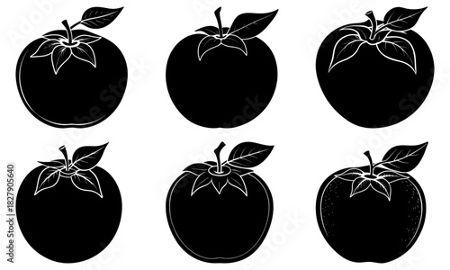 Fresh tomatoes collection: A delicious and healthy food staple for vibrant salads, sauces, and culinary creations, perfect for food blogs and recipes