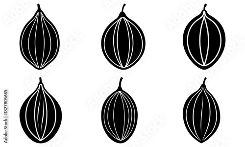 Stylish cardamom seeds illustration originally a vector graphic, ideal for spice companies, culinary blogs, or organic food branding projects