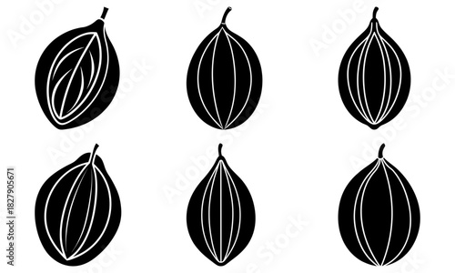 Stunning cardamom pods illustration for culinary projects, spice blends, or wellness designs, originally vector graphics for flexible scaling and visual impact