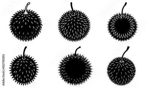 Intricate durian fruit set, a spiky tropical delicacy that makes a bold statement in culinary designs and creative food product marketing materials