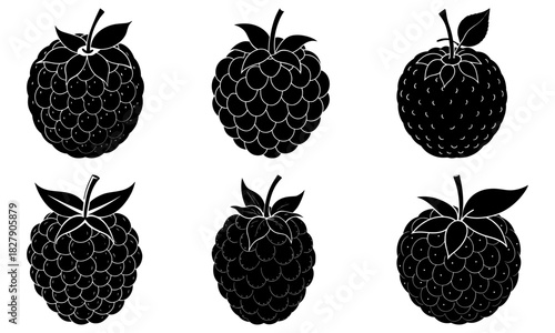 Delicious black raspberry collection, offering healthy eating concept. Great for summer designs, recipes and more. Originally a scalable vector graphic