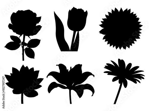 Black silhouettes of various flowers rose, tulip, sunflower, lily, daisy, and others arranged and designed