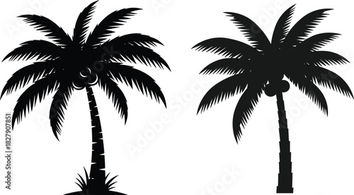 Palm tree silhouette vector set