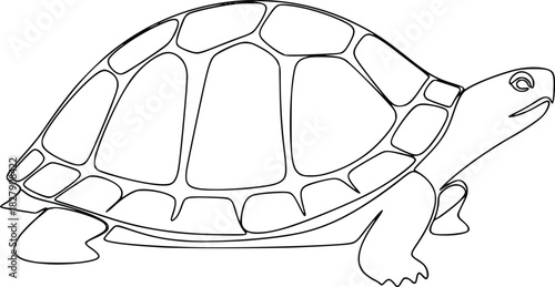 Illustration of a turtle, showcasing its shell, head, and legs in a simple, clean line drawing style